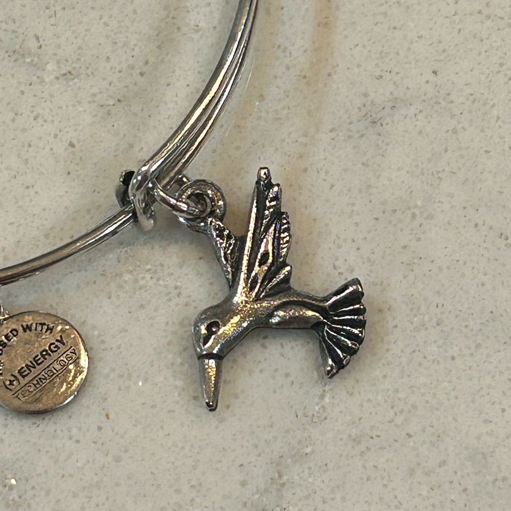 Alex and Ani Humminbird bangle adjustable bracelet silver - Picture 3 of 5